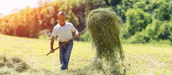 Exploitants agricoles : montant des indemnités journalières