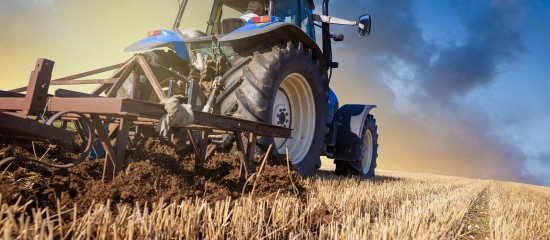 Droit de préemption de l’agriculteur : quand le domaine mis en vente est indivisible